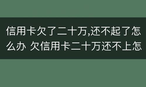 信用卡欠了二十万,还不起了怎么办 欠信用卡二十万还不上怎么办