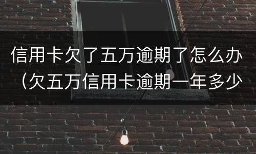 信用卡欠了五万逾期了怎么办（欠五万信用卡逾期一年多少钱）
