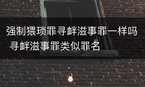 强制猥琐罪寻衅滋事罪一样吗 寻衅滋事罪类似罪名