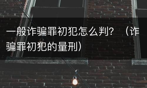 一般诈骗罪初犯怎么判？（诈骗罪初犯的量刑）