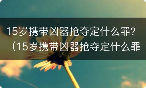 15岁携带凶器抢夺定什么罪？（15岁携带凶器抢夺定什么罪名）