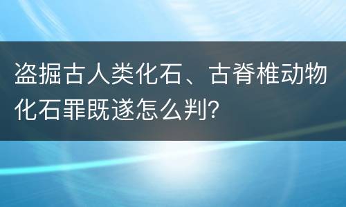 盗掘古人类化石、古脊椎动物化石罪既遂怎么判？