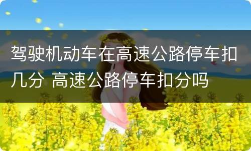 驾驶机动车在高速公路停车扣几分 高速公路停车扣分吗