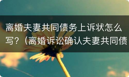 离婚夫妻共同债务上诉状怎么写?（离婚诉讼确认夫妻共同债务）