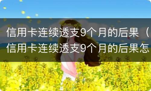 信用卡连续透支9个月的后果（信用卡连续透支9个月的后果怎么样）