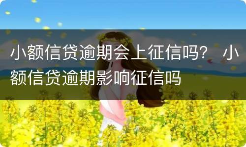 小额信贷逾期会上征信吗？ 小额信贷逾期影响征信吗