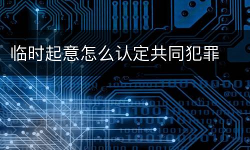 临时起意怎么认定共同犯罪