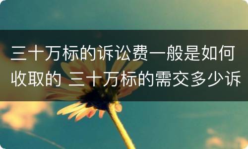 三十万标的诉讼费一般是如何收取的 三十万标的需交多少诉讼费