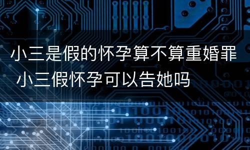 小三是假的怀孕算不算重婚罪 小三假怀孕可以告她吗