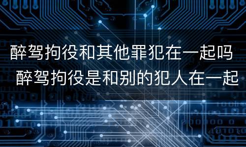 醉驾拘役和其他罪犯在一起吗 醉驾拘役是和别的犯人在一起吗
