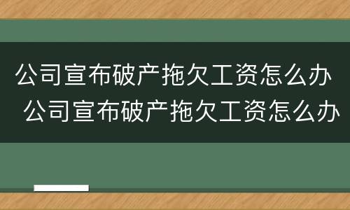 公司宣布破产拖欠工资怎么办 公司宣布破产拖欠工资怎么办理