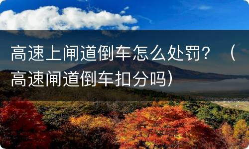 高速上闸道倒车怎么处罚？（高速闸道倒车扣分吗）