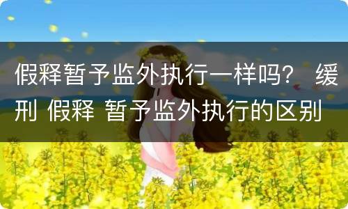 假释暂予监外执行一样吗？ 缓刑 假释 暂予监外执行的区别