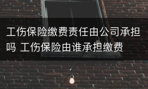 工伤保险缴费责任由公司承担吗 工伤保险由谁承担缴费