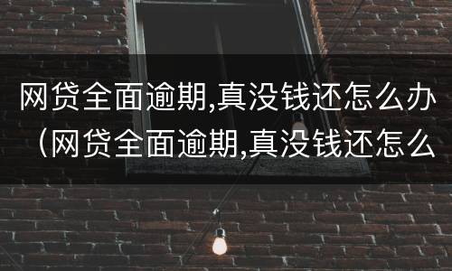 网贷全面逾期,真没钱还怎么办（网贷全面逾期,真没钱还怎么办2021）