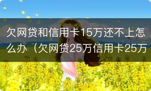 欠网贷和信用卡15万还不上怎么办（欠网贷25万信用卡25万还不上）
