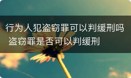 行为人犯盗窃罪可以判缓刑吗 盗窃罪是否可以判缓刑