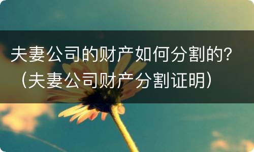 夫妻公司的财产如何分割的？（夫妻公司财产分割证明）