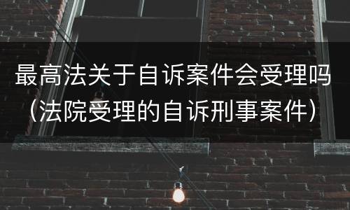 最高法关于自诉案件会受理吗（法院受理的自诉刑事案件）