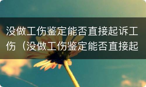 没做工伤鉴定能否直接起诉工伤（没做工伤鉴定能否直接起诉工伤事故）
