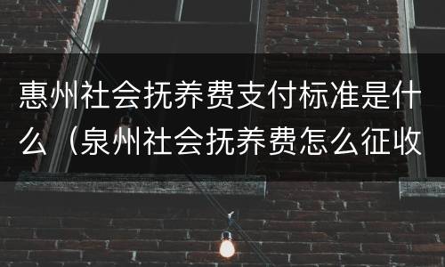 惠州社会抚养费支付标准是什么（泉州社会抚养费怎么征收）