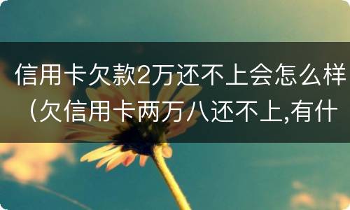 信用卡欠款2万还不上会怎么样（欠信用卡两万八还不上,有什么后果）
