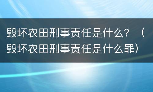 毁坏农田刑事责任是什么？（毁坏农田刑事责任是什么罪）
