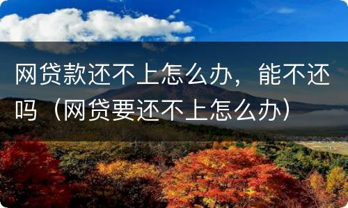 网贷款还不上怎么办，能不还吗（网贷要还不上怎么办）