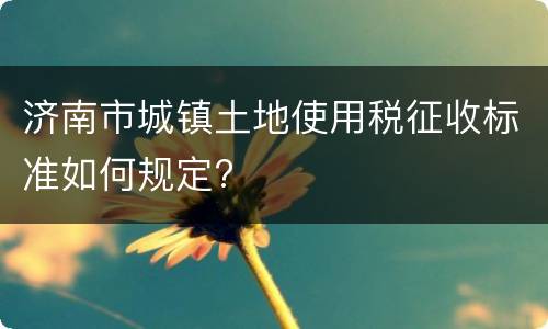 济南市城镇土地使用税征收标准如何规定?