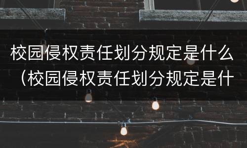 校园侵权责任划分规定是什么（校园侵权责任划分规定是什么时候实施）