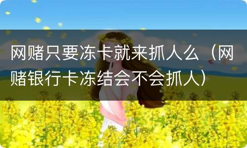 网赌只要冻卡就来抓人么（网赌银行卡冻结会不会抓人）