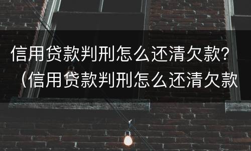 信用贷款判刑怎么还清欠款？（信用贷款判刑怎么还清欠款呢）