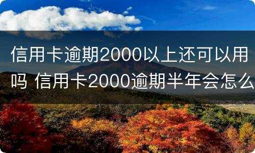 信用卡逾期2000以上还可以用吗 信用卡2000逾期半年会怎么样