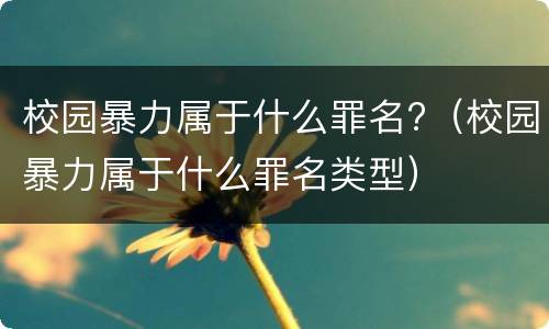 校园暴力属于什么罪名?（校园暴力属于什么罪名类型）