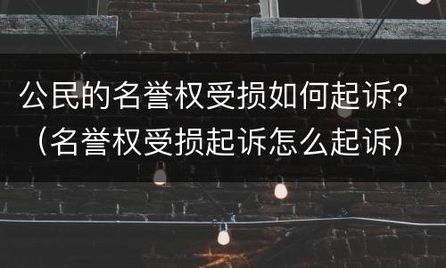 公民的名誉权受损如何起诉？（名誉权受损起诉怎么起诉）