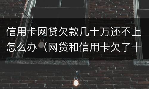 信用卡网贷欠款几十万还不上怎么办（网贷和信用卡欠了十几万,应该怎么办?）