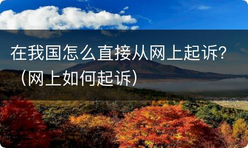 在我国怎么直接从网上起诉？（网上如何起诉）