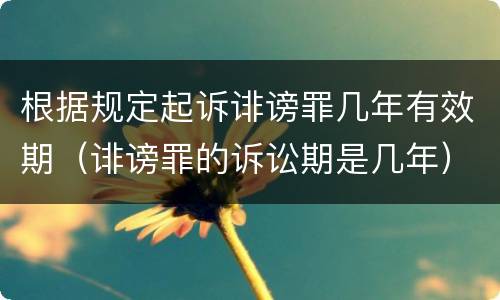 根据规定起诉诽谤罪几年有效期（诽谤罪的诉讼期是几年）