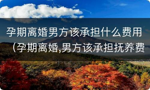 孕期离婚男方该承担什么费用（孕期离婚,男方该承担抚养费吗）