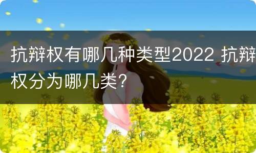 抗辩权有哪几种类型2022 抗辩权分为哪几类?