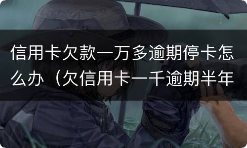 信用卡欠款一万多逾期停卡怎么办（欠信用卡一千逾期半年）