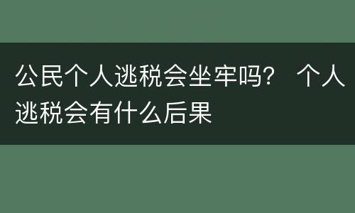 公民个人逃税会坐牢吗？ 个人逃税会有什么后果