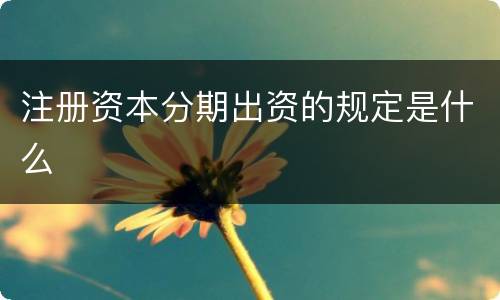 注册资本分期出资的规定是什么