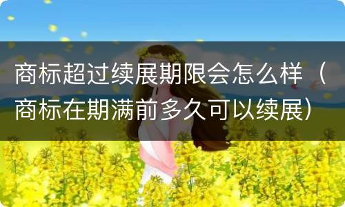 商标超过续展期限会怎么样（商标在期满前多久可以续展）