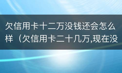 欠信用卡十二万没钱还会怎么样（欠信用卡二十几万,现在没能力还了）