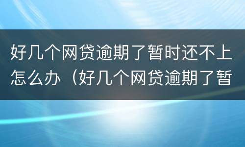 好几个网贷逾期了暂时还不上怎么办（好几个网贷逾期了暂时还不上怎么办呢）