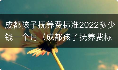 成都孩子抚养费标准2022多少钱一个月（成都孩子抚养费标准是多少）