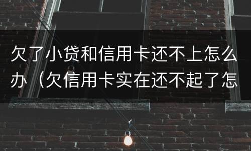 欠了小贷和信用卡还不上怎么办（欠信用卡实在还不起了怎么办）