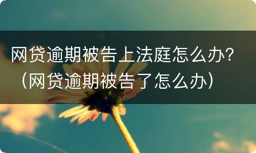网贷逾期被告上法庭怎么办？（网贷逾期被告了怎么办）