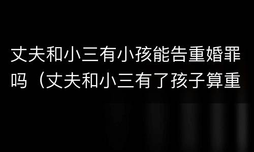 丈夫和小三有小孩能告重婚罪吗（丈夫和小三有了孩子算重婚罪吗）